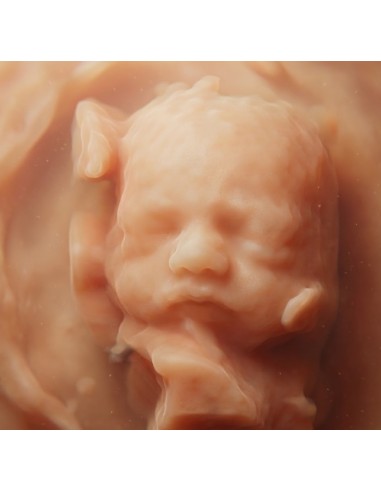 copy of 8k ultrasound, hyperrealistic...